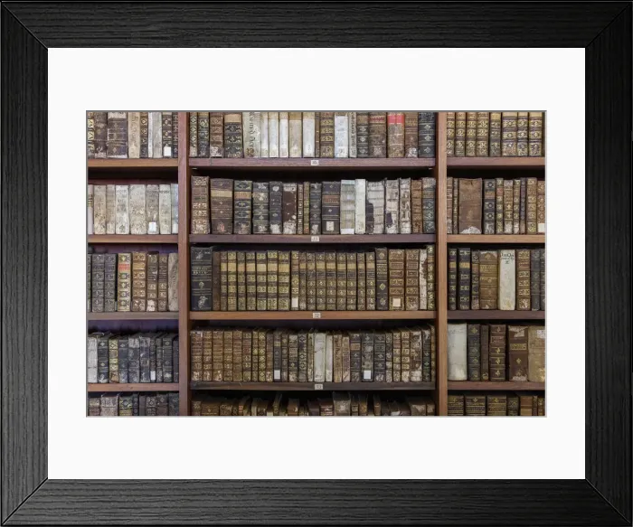 Framed Print : Ancient books in Biblioteca Joanina (Joanine Library), University of Coimbra, Coimbra