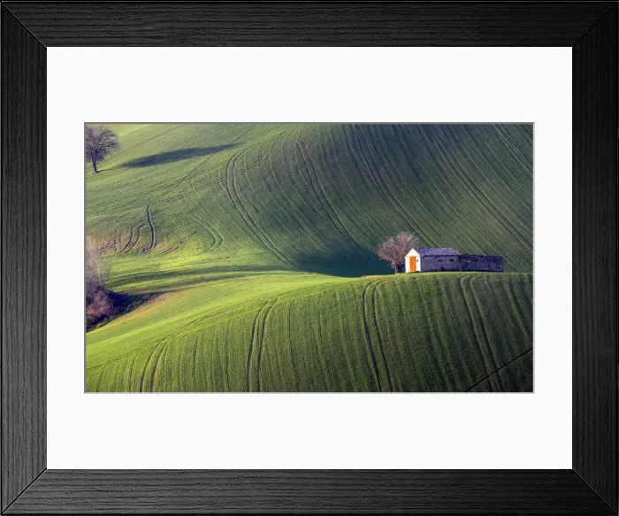Framed Print : Fields cultivated in the Marche countryside, Monte San Giusto village, Macerata district Framed Print : Fields cultivated in the Marche countryside, Monte San Giusto village, Macerata district