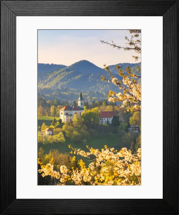Framed Print : Sela pri Kamniku church framed by a flowering trees, kamnik, Upper Carniola region Framed Print : Sela pri Kamniku church framed by a flowering trees, kamnik, Upper Carniola region