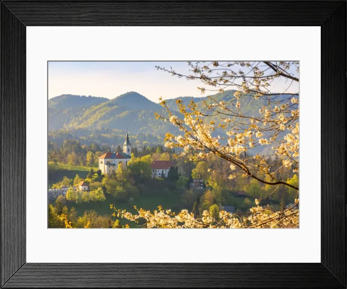 Framed Print : Sela pri Kamniku church framed by a flowering trees, kamnik, Upper Carniola region Framed Print : Sela pri Kamniku church framed by a flowering trees, kamnik, Upper Carniola region