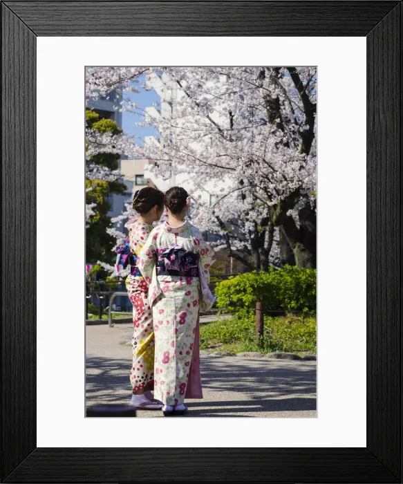 Framed Print : Japanese Girls in kimono during Sakura Blooming in Asakusa, Tokyo, Japan Framed Print : Japanese Girls in kimono during Sakura Blooming in Asakusa, Tokyo, Japan