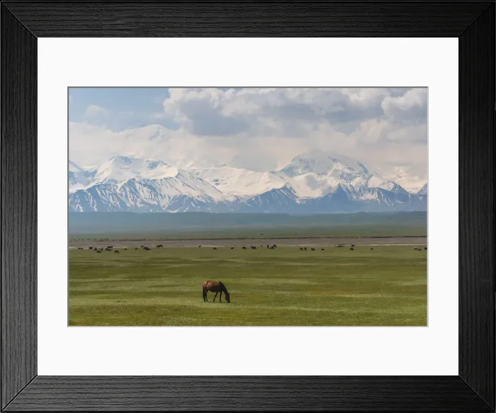 Framed Print : Landscape of valley near Sary Tash with wild horses and Pamir mountains in the background Framed Print : Landscape of valley near Sary Tash with wild horses and Pamir mountains in the background