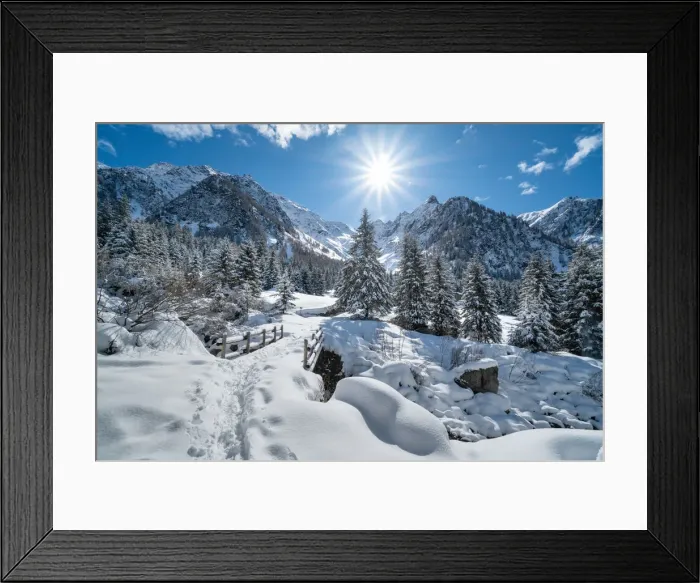 Framed Print : Winter mountain landscape with snowcapped trees and sunlight in backlight Framed Print : Winter mountain landscape with snowcapped trees and sunlight in backlight