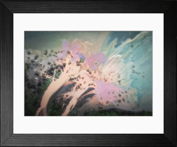 Framed Print : Lesser and greater flamings gathering in Lake Bogoria, Rift Valley, Kenya Framed Print : Lesser and greater flamings gathering in Lake Bogoria, Rift Valley, Kenya