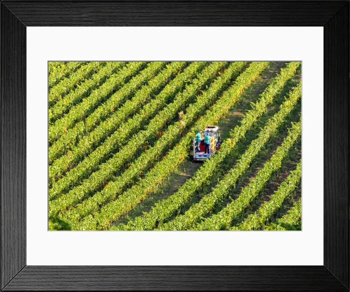 Framed Print : Franciacorta aerial view in Brescia province, Lombardy, Italy Framed Print : Franciacorta aerial view in Brescia province, Lombardy, Italy