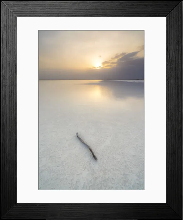 Framed Print : Isolated wood stick in salt desert on Lake Karum at sunset, Dallol, Danakil Depression