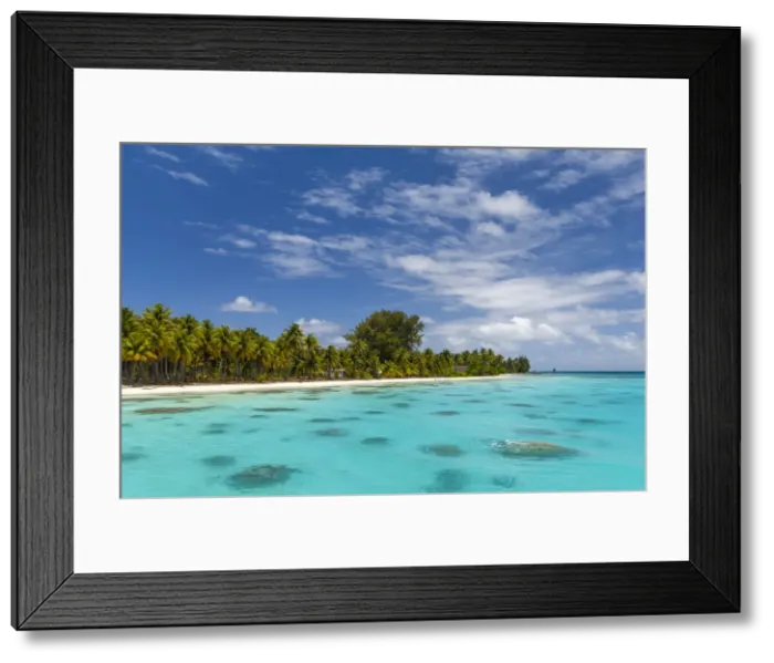 Framed Print : Fakarawa, Tuamotu Archipelago, French Polynesia Framed Print : Fakarawa, Tuamotu Archipelago, French Polynesia