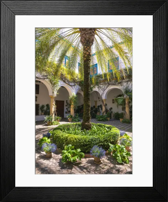 Framed Print : Palacio de Viana, city of Cordoba, Andalusia, Spain