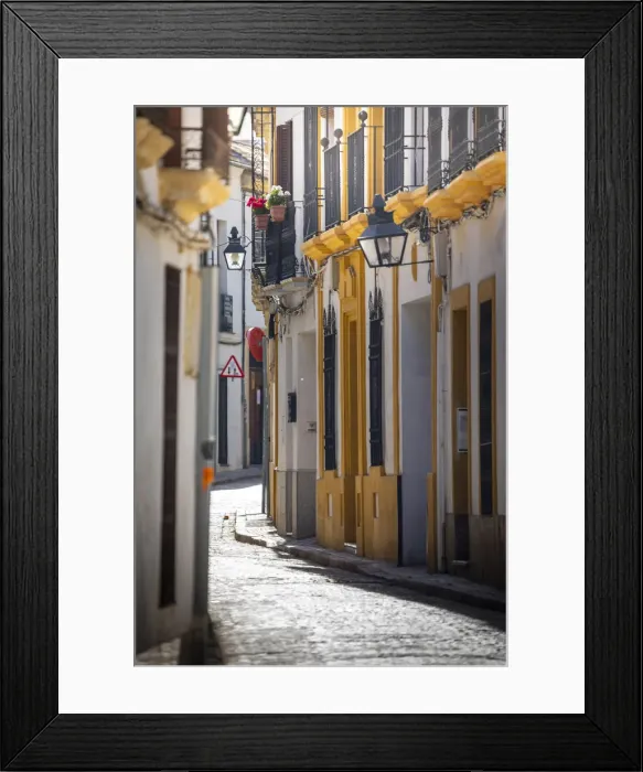 Framed Print : City of Cordoba, Andalusia, Spain Framed Print : City of Cordoba, Andalusia, Spain