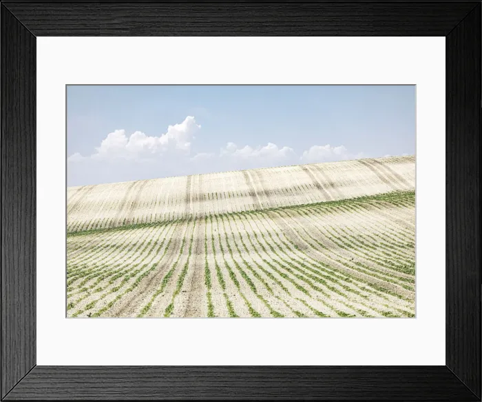 Framed Print : Agricultural landscape near Ronda, Andalusia, Spain Framed Print : Agricultural landscape near Ronda, Andalusia, Spain