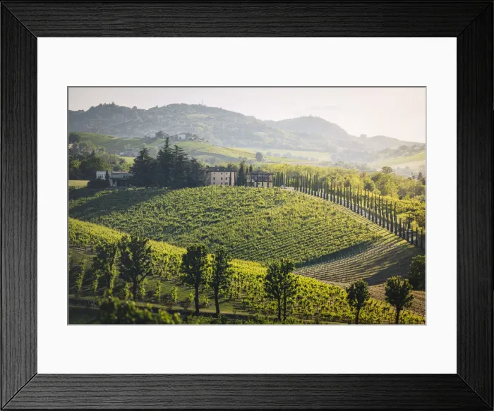 Framed Print : Levizzano Rangone, Castelvetro di Modena, Modena province, Emilia Romagna, Italy Framed Print : Levizzano Rangone, Castelvetro di Modena, Modena province, Emilia Romagna, Italy