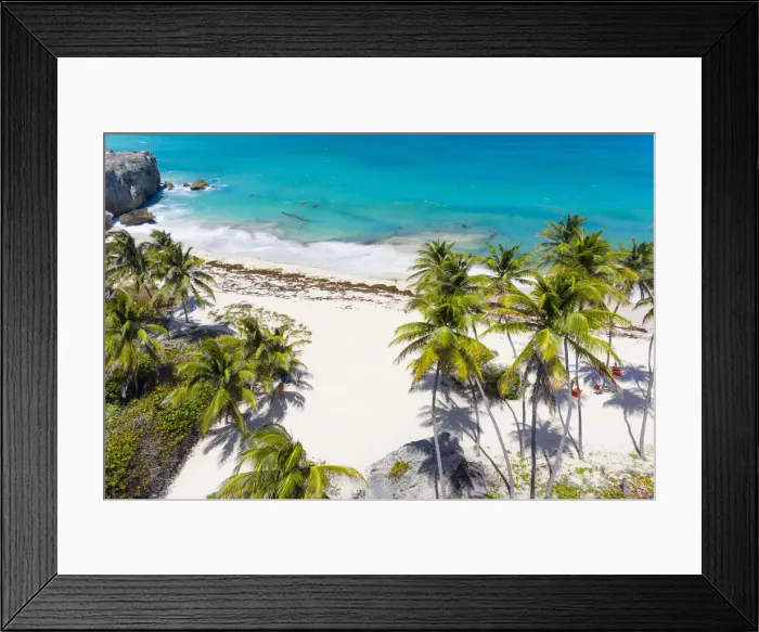 Framed Print : Tall palm trees lean over the white sands of Bottom Bay beach, in Barbados Framed Print : Tall palm trees lean over the white sands of Bottom Bay beach, in Barbados