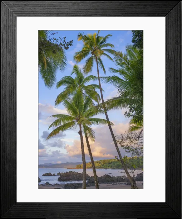Framed Print : Sunset at the beach, Drake Bay, Corcovado National Park, Osa Peninsula, Costa Rica Framed Print : Sunset at the beach, Drake Bay, Corcovado National Park, Osa Peninsula, Costa Rica