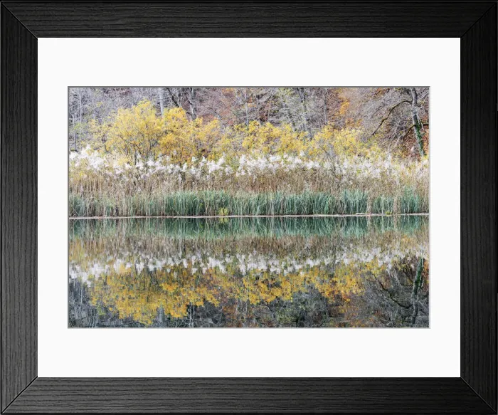 Framed Print : Reflection during a cloudy afternoon in Plitvice National Park, Croatia