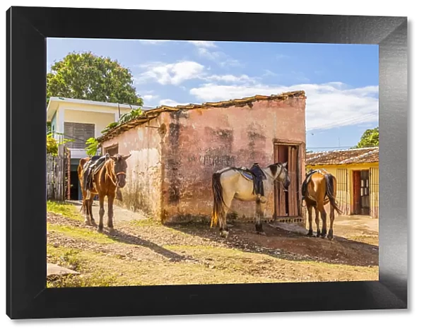 Horses in a street in Trinidad, Sancti Spiritus, Cuba