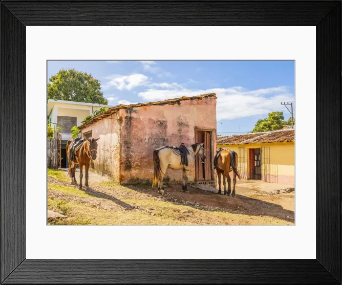 Framed Print : Horses in a street in Trinidad, Sancti Spiritus, Cuba