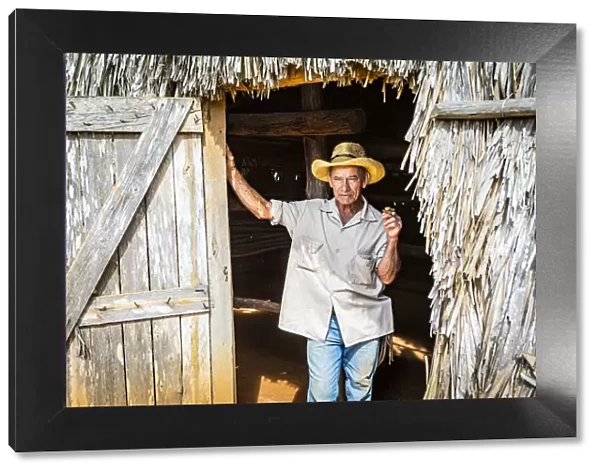 A tobacco farmer smoking a Cuban cigar in Vinales, Pinar del Rio Province, Cuba
