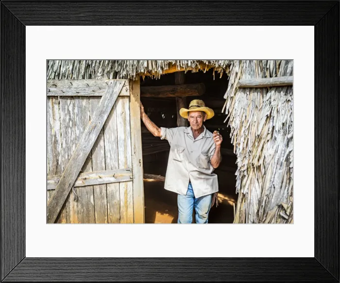 Framed Print : A tobacco farmer smoking a Cuban cigar in Vinales, Pinar del Rio Province, Cuba Framed Print : A tobacco farmer smoking a Cuban cigar in Vinales, Pinar del Rio Province, Cuba