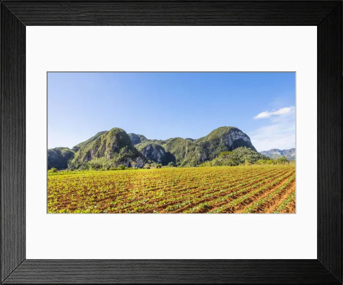 Framed Print : Vinales Valley, Pinar del Rio Province, Cuba Framed Print : Vinales Valley, Pinar del Rio Province, Cuba
