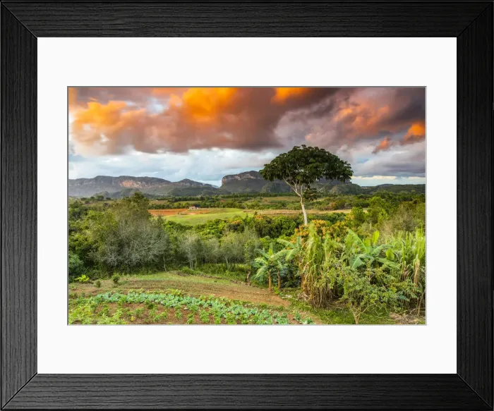 Framed Print : Vinales Valley at sunset, Pinar del Rio Province, Cuba Framed Print : Vinales Valley at sunset, Pinar del Rio Province, Cuba