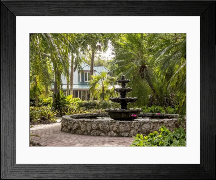 Framed Print : Queen Elizabeth II Botanic Park, North Side, Grand Cayman, Cayman Islands Framed Print : Queen Elizabeth II Botanic Park, North Side, Grand Cayman, Cayman Islands