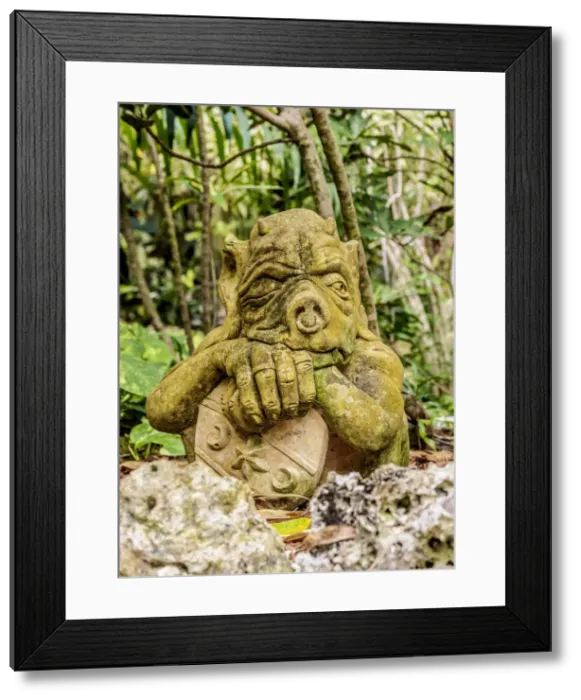Framed Print : Gnome Figure at Queen Elizabeth II Botanic Park, North Side, Grand Cayman, Cayman Islands Framed Print : Gnome Figure at Queen Elizabeth II Botanic Park, North Side, Grand Cayman, Cayman Islands
