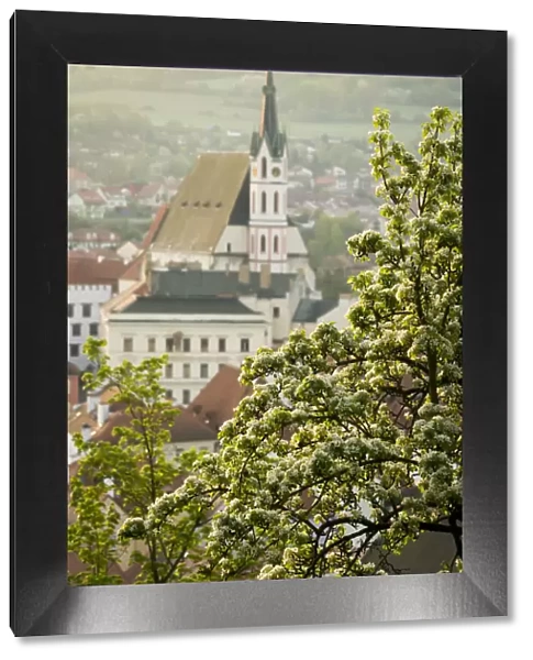 St. Vitus Church in spring, Cesky Krumlov, South Bohemian Region, Czech Republic