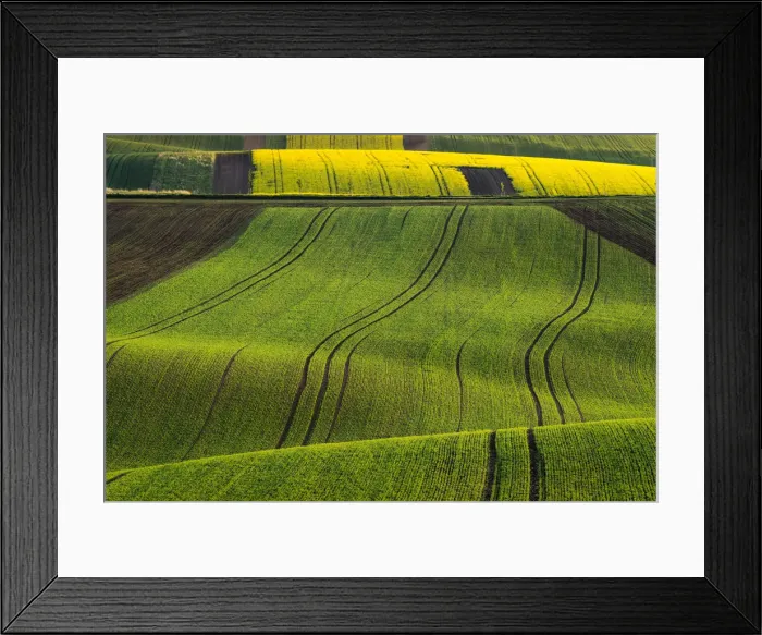 Framed Print : Scenic view of green rolling hills near Kyjov, Hodonin District, South Moravian Region, Moravia, Czech Republic Framed Print : Scenic view of green rolling hills near Kyjov, Hodonin District, South Moravian Region, Moravia, Czech Republic