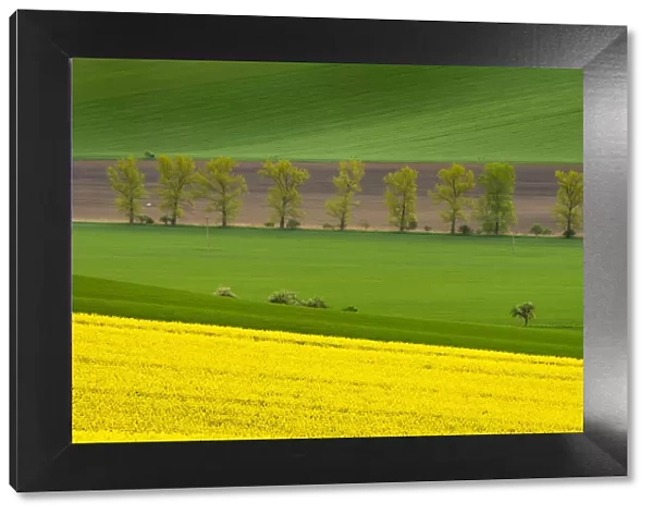 Scenic view of fields near Kyjov, Hodonin District, South Moravian Region, Moravia, Czech Republic