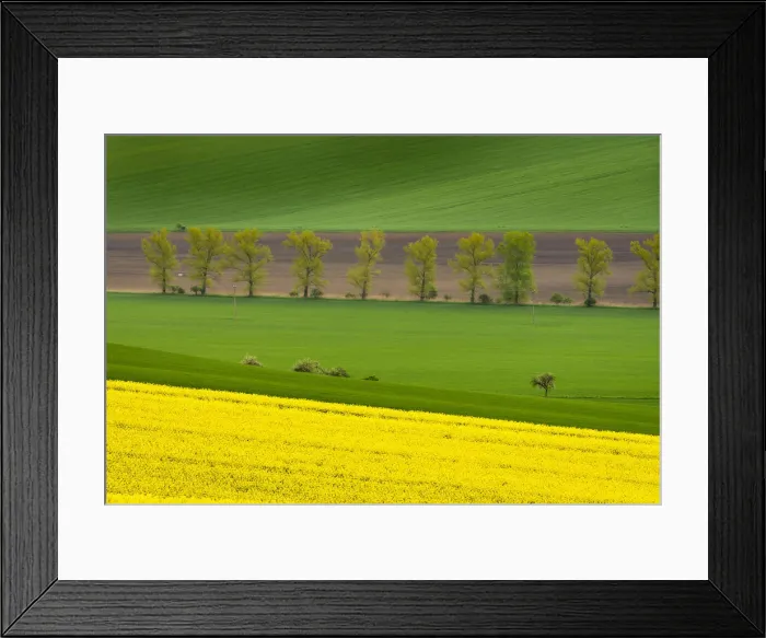 Framed Print : Scenic view of fields near Kyjov, Hodonin District, South Moravian Region, Moravia, Czech Republic Framed Print : Scenic view of fields near Kyjov, Hodonin District, South Moravian Region, Moravia, Czech Republic