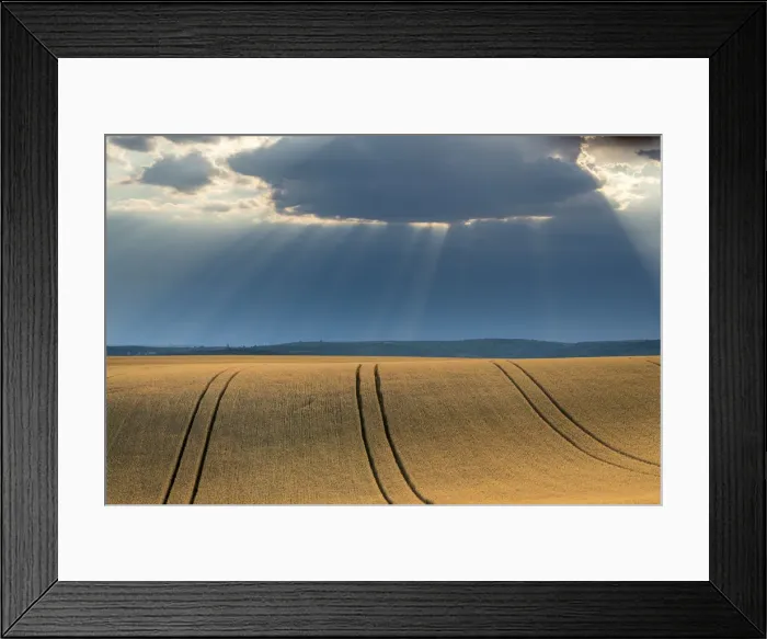 Framed Print : Field with crops and dramatic sky near Vrbice, Breclav District, South Moravian Region, Moravia, Czech Republic Framed Print : Field with crops and dramatic sky near Vrbice, Breclav District, South Moravian Region, Moravia, Czech Republic