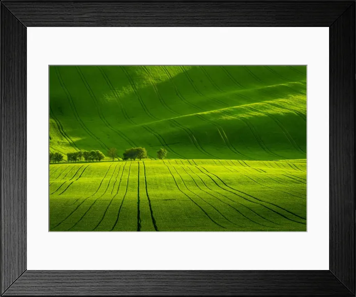 Framed Print : Scenic view of green rolling hills near Kyjov, Hodonin District, South Moravian Region, Moravia, Czech Republic Framed Print : Scenic view of green rolling hills near Kyjov, Hodonin District, South Moravian Region, Moravia, Czech Republic