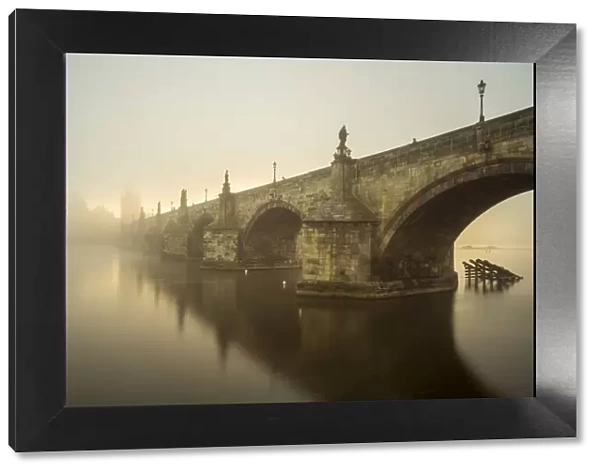 Charles Bridge with mist at sunrise, Prague, Bohemia, Czech Republic