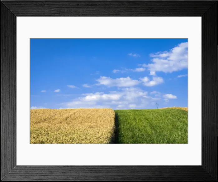 Framed Print : Agricultural field against sky on sunny day near Vrbice, Breclav District, South Moravian Region, Moravia, Czech Republic Framed Print : Agricultural field against sky on sunny day near Vrbice, Breclav District, South Moravian Region, Moravia, Czech Republic