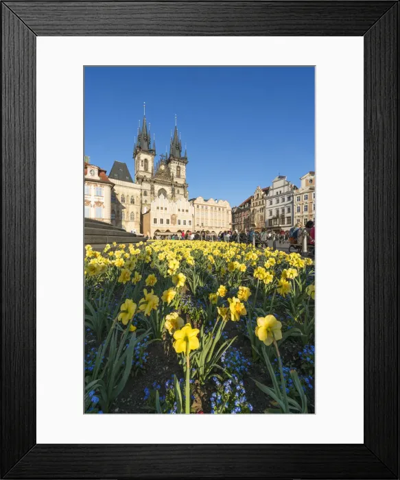 Framed Print : Church of our lady before Tyn and flowers at Jan Hus Memorial, Old Town Square, Prague Framed Print : Church of our lady before Tyn and flowers at Jan Hus Memorial, Old Town Square, Prague