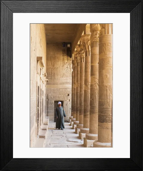 Framed Print : Guradian at the Temple of Philae on an island in Lake Nasser, Nile River, Aswan, Egypt Framed Print : Guradian at the Temple of Philae on an island in Lake Nasser, Nile River, Aswan, Egypt