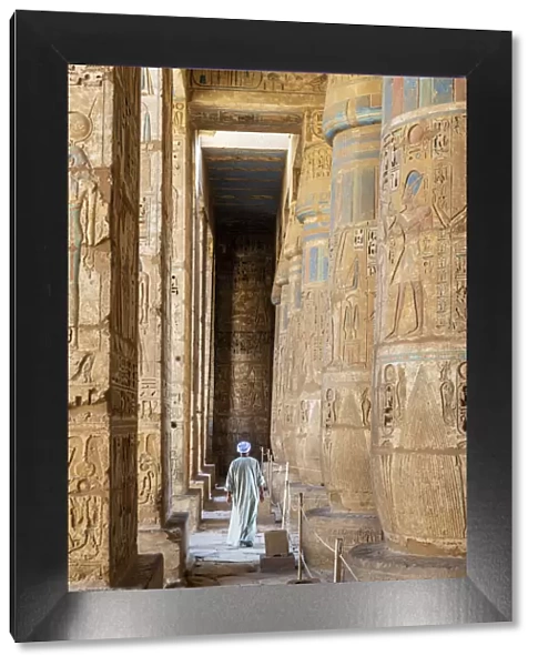 Temple guardian at the temple of Ramses III on the West bank of the Nile at Luxor, Egypt
