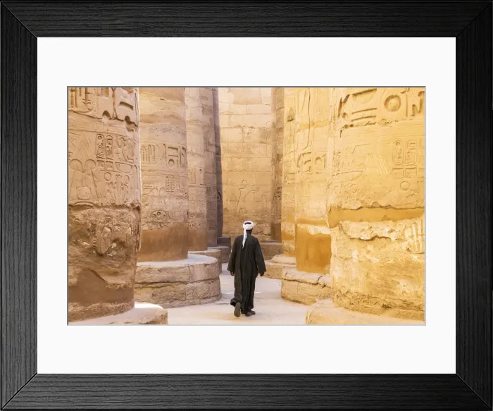 Framed Print : Guardian at the Karnak Temple, Luxor, Egypt, Africa