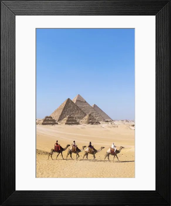 Framed Print : Camel train at the Pyramids of Giza, Giza, Cairo, Egypt Framed Print : Camel train at the Pyramids of Giza, Giza, Cairo, Egypt