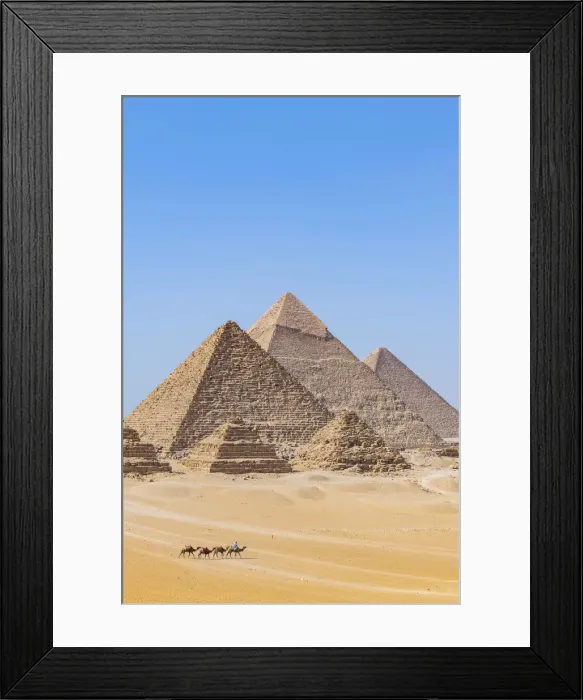 Framed Print : Camel train at the Pyramids of Giza, Giza, Cairo, Egypt Framed Print : Camel train at the Pyramids of Giza, Giza, Cairo, Egypt