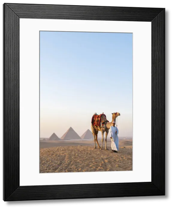 Framed Print : Man and his camel at the Pyramids of Giza, Giza, Cairo, Egypt Framed Print : Man and his camel at the Pyramids of Giza, Giza, Cairo, Egypt