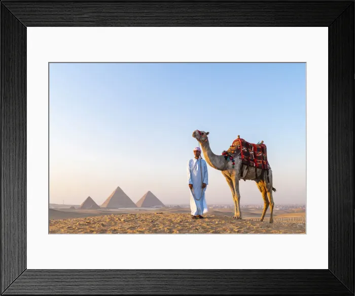 Framed Print : Man and his camel at the Pyramids of Giza, Giza, Cairo, Egypt Framed Print : Man and his camel at the Pyramids of Giza, Giza, Cairo, Egypt