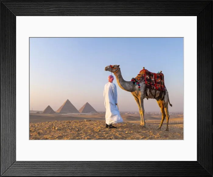 Framed Print : Man and his camel at the Pyramids of Giza, Giza, Cairo, Egypt Framed Print : Man and his camel at the Pyramids of Giza, Giza, Cairo, Egypt
