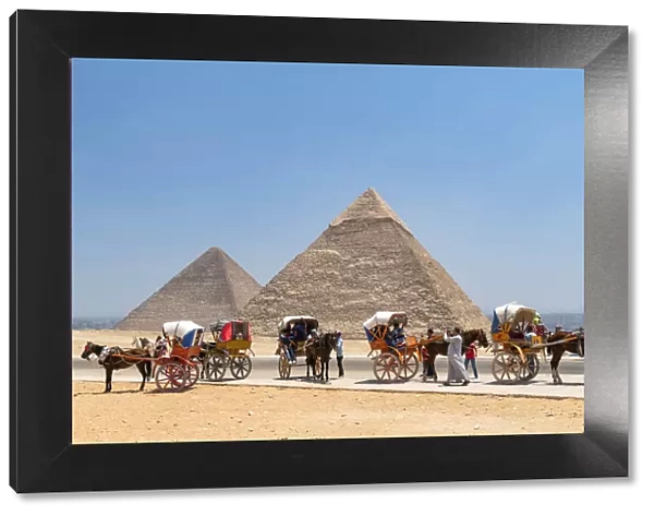 Horse and carridges at the Pyramids of Giza, Giza, Cairo, Egypt