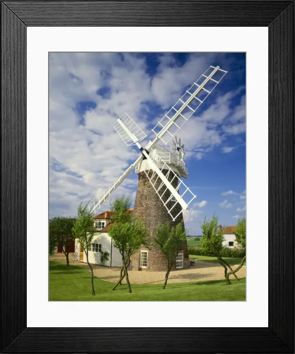 Framed Print : Norfolk Cottage Windmill, Mautby, Norfolk, England