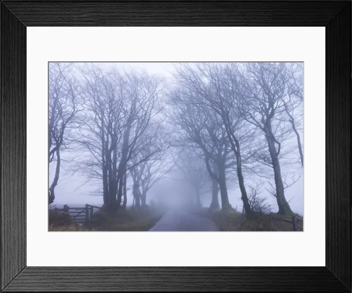 Framed Print : Foggy winter morning along a tree lined lane near Northmoor Common, Exmoor National Park Framed Print : Foggy winter morning along a tree lined lane near Northmoor Common, Exmoor National Park
