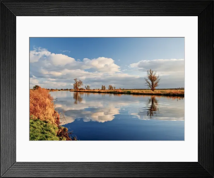 Framed Print : River Bure Reflections, Norfolk Broads National Park, England