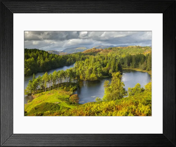 Framed Print : Tarn Hows in the Lake District, Cumbria, England Framed Print : Tarn Hows in the Lake District, Cumbria, England