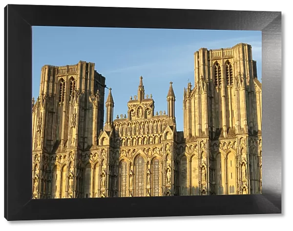 West face of Wells Cathedral in evening sunlight, Wells, Somerset, England