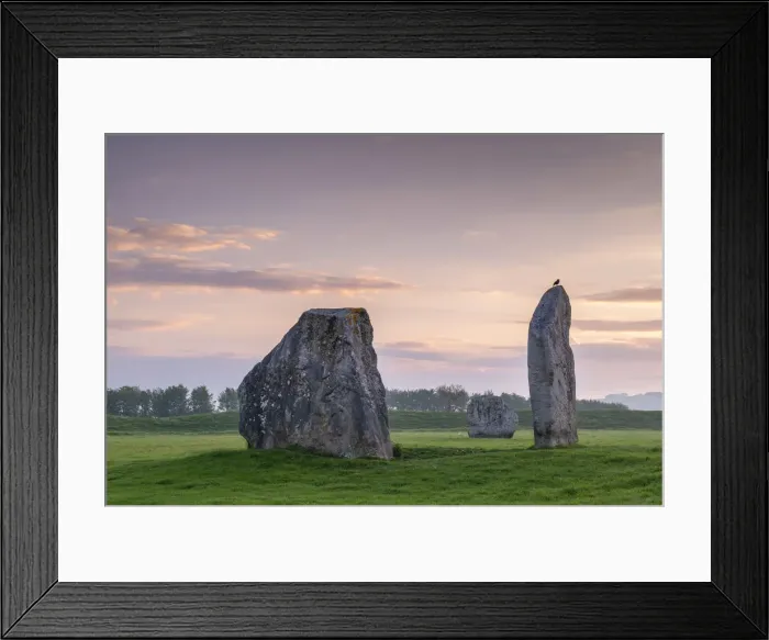 Framed Print : Avebury Stone Circle at dawn, Avebury, Wiltshire, England Framed Print : Avebury Stone Circle at dawn, Avebury, Wiltshire, England